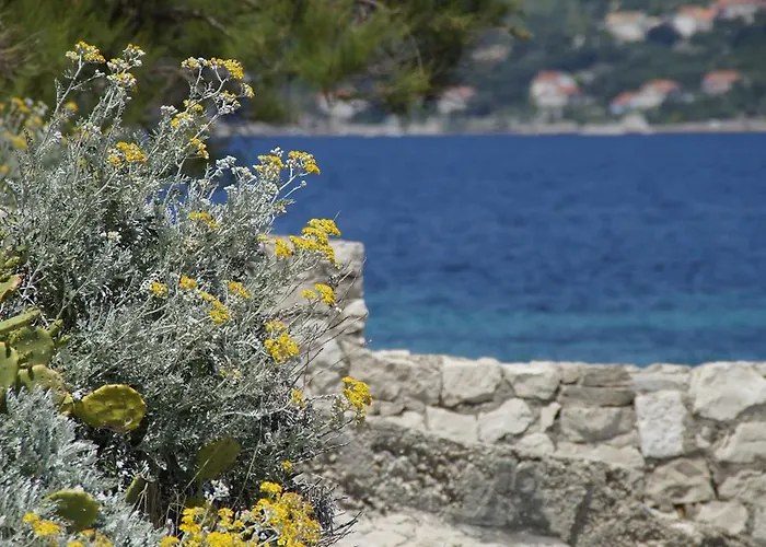 Apartment Korcula's Secret