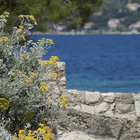 Apartmán Korcula's Secret
